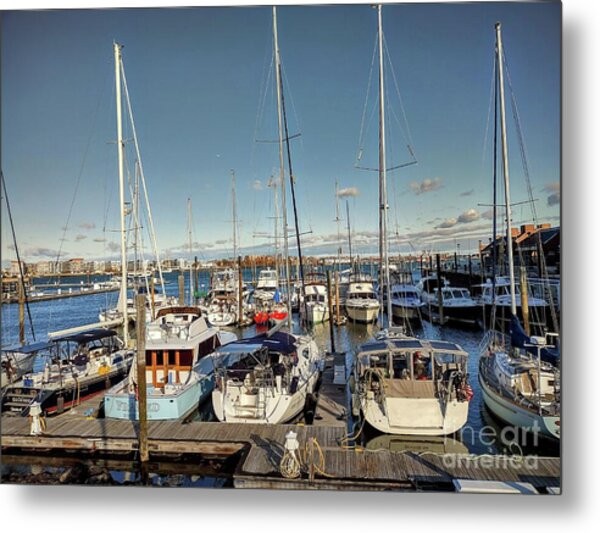 ADRIENNE ART | Adrienne G Photography | Boston Massachusetts USA | Exclusive Framed Prints, Canvas and Metal Prints © Copyright 2025-26 All Rights Reserved >>> adrienne.fineartamerica.com