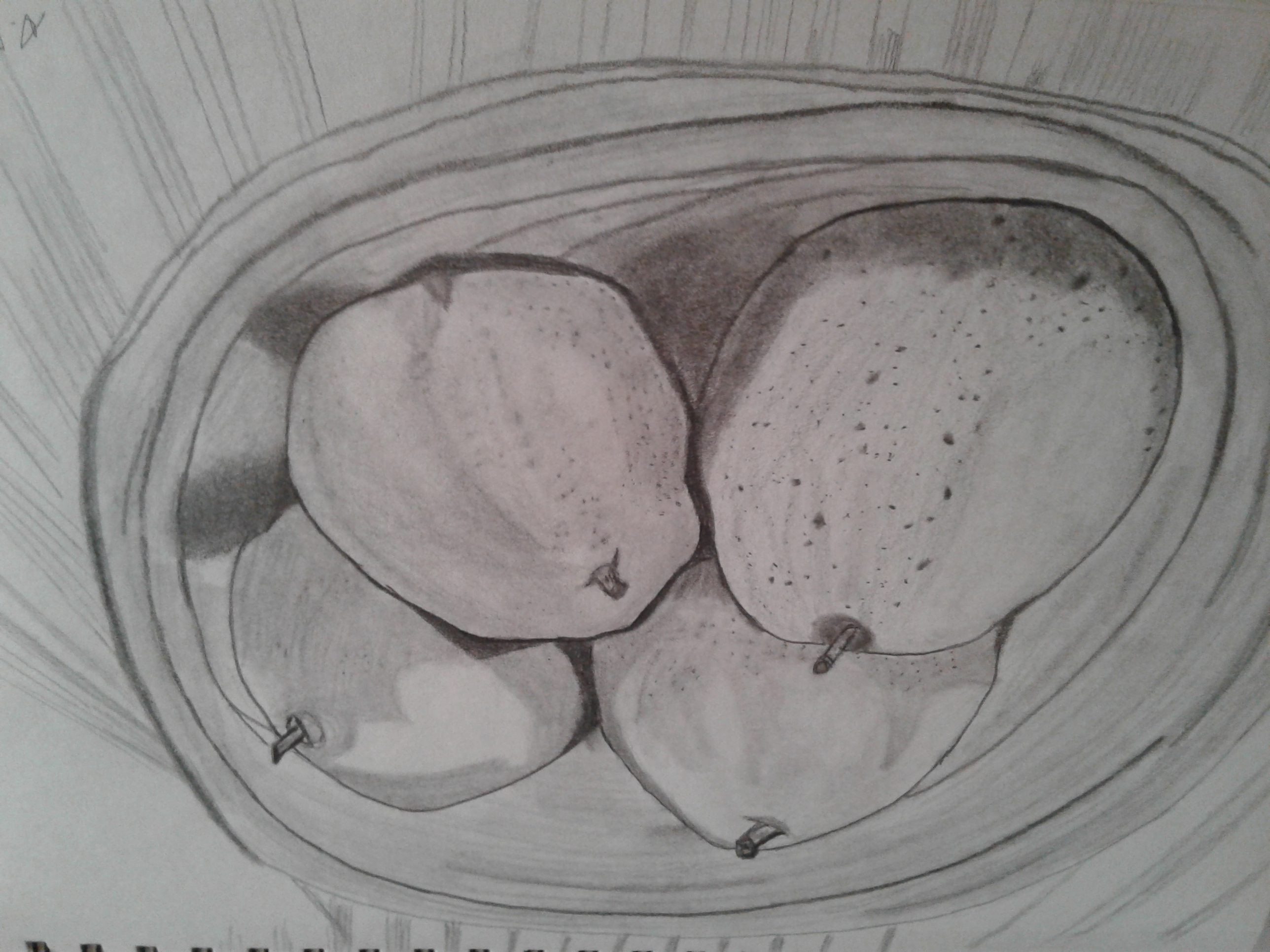 Welcome to my website! I have selected a few of my paintings and more will be added in future. If you have any questions or would like to know pricing, please email me at: aroth4321@rogers.com. I look forward to hearing from you!