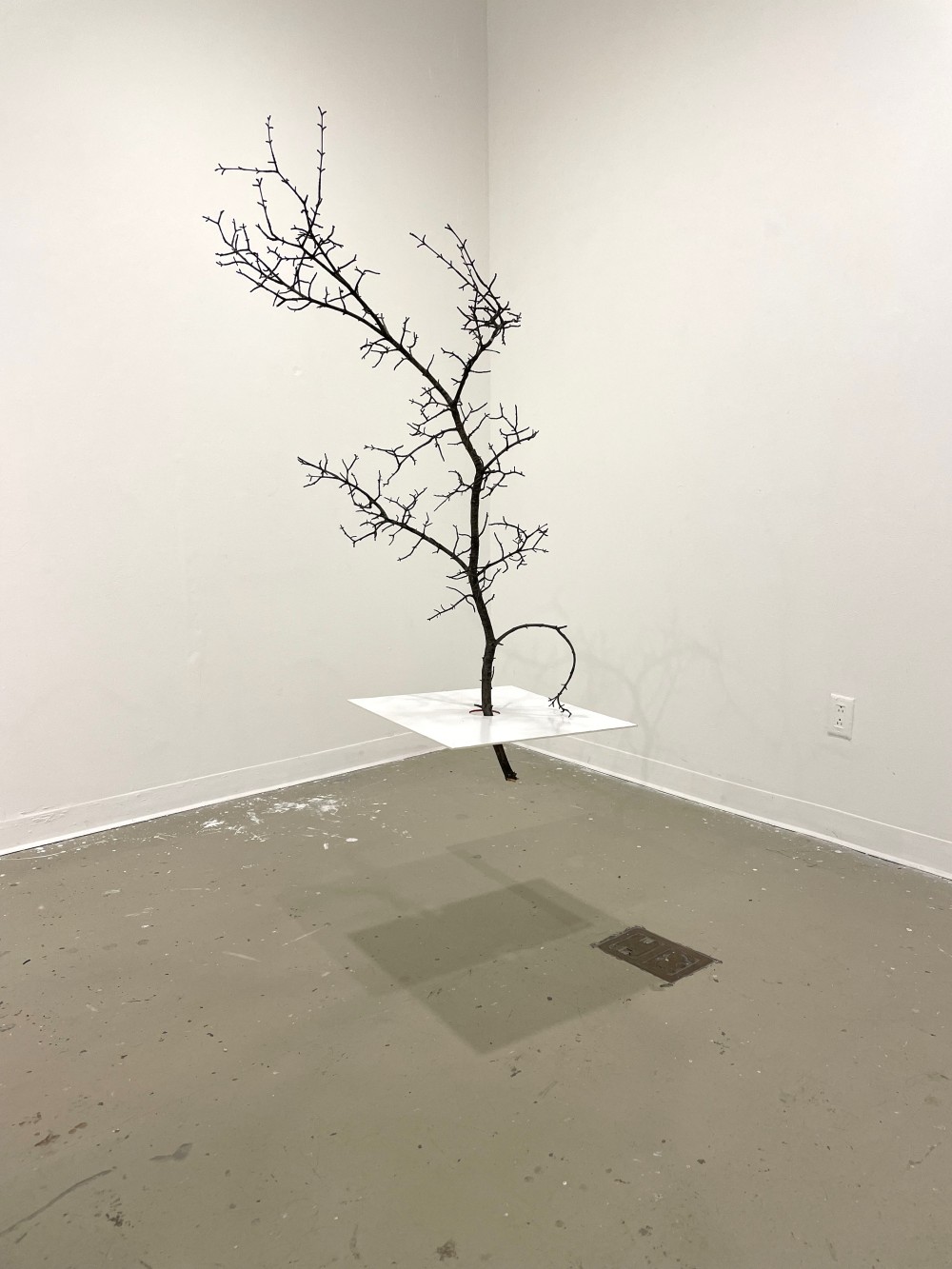 - Tree, Foam board
- 2024
.
.
.
Dad, rooted in the purity of land. You are standing green and your heart is open like a sea. You are in resistance against the sharp and cutting angles of life.