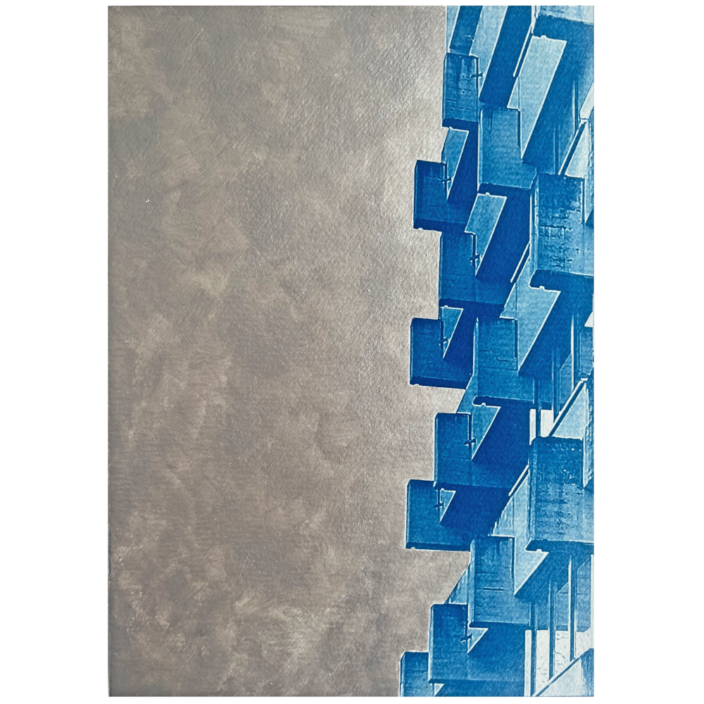 29 x 20 cm Cyanotype on watercolor paper, acrylic paints, rear wooden frame 2026