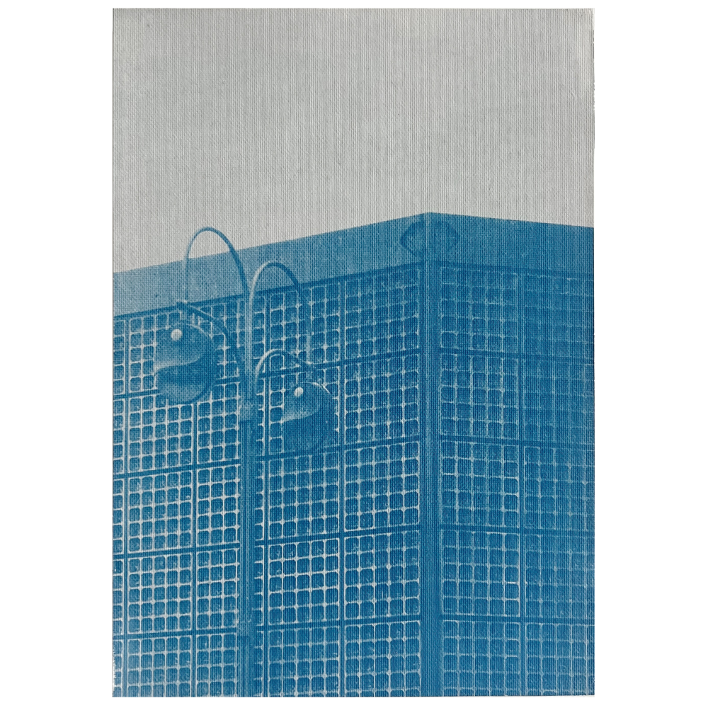 29 x 21 cm Cyanotype on canvas, masonite board, rear wooden frame 2025