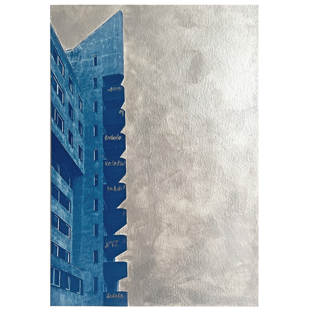 29 x 20 cm Cyanotype on watercolor paper, acrylic paints, rear wooden frame 2026