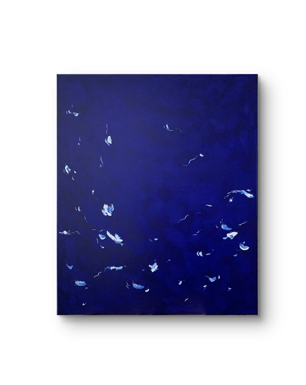 "Dive into the Abyss" explores the raw power of waves crashing against the rocks, before drawing us into the silent depths of the ocean. An immersion between strength and calm, matter and mystery.