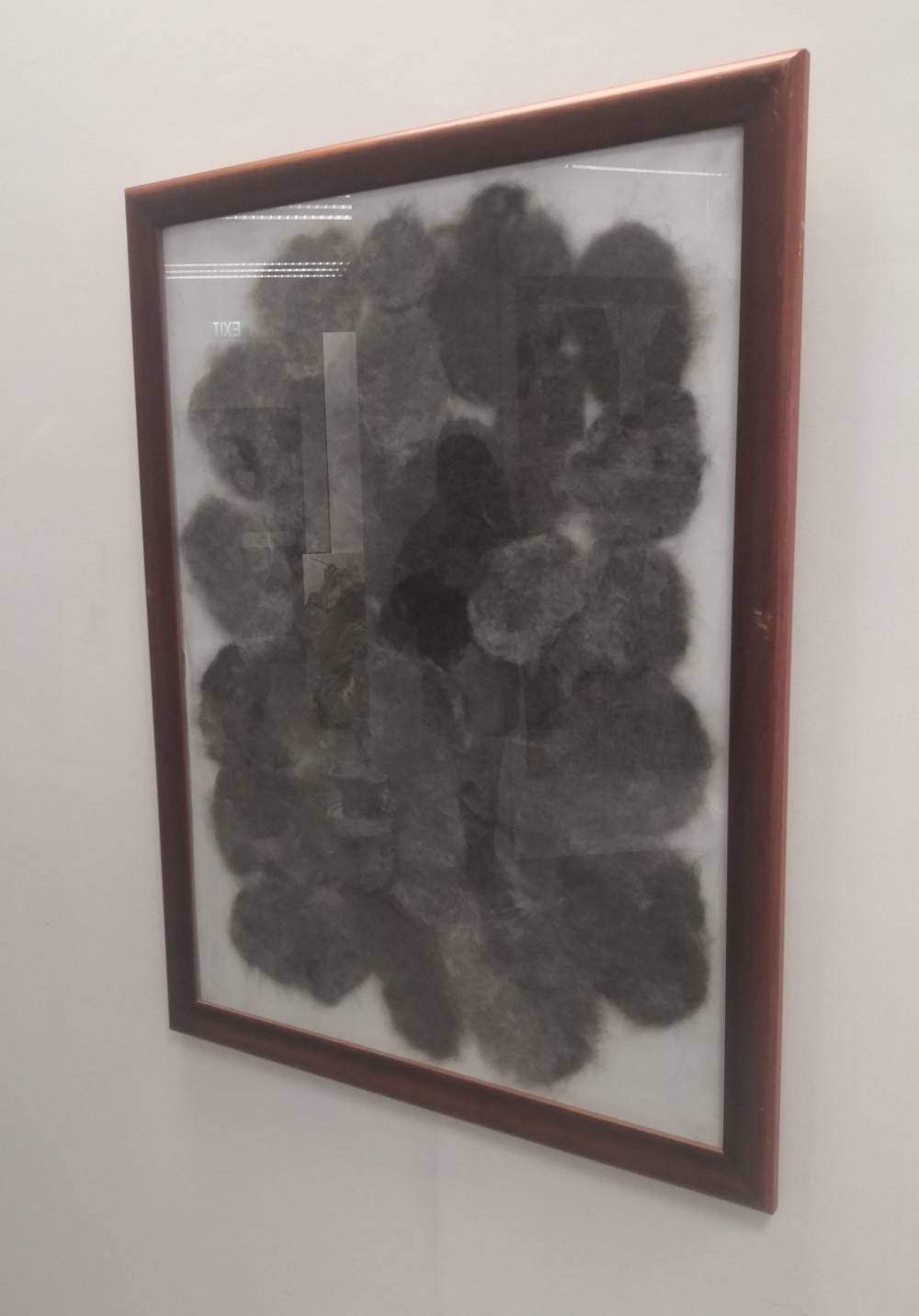 July 2020
Husky fur, Gesso on board, Glass, Wooden frame
690 x 900mm