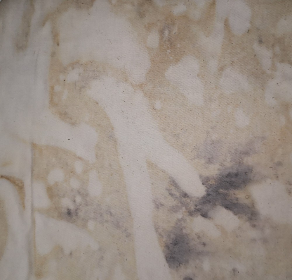 May 2021
Canvas Fabric, Pine bark, Pinecone, Pine leaf
200 x 200mm