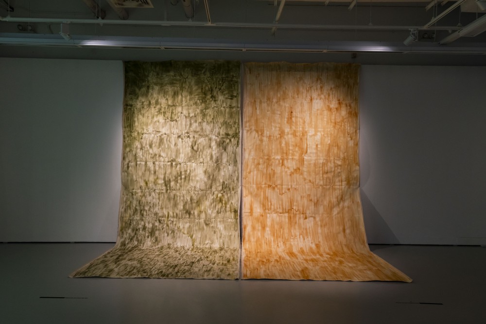 Pandan, rabbit skin glue, linen canvas
5 x 2.3m
2025
It is not merely a compilation of chemical symbols, but rather a journey of life. The crops I
cultivate with my own hands gather the genes of colour amidst wind and rain; I distil the blood
of petals, expose the tears of roots and stems to the sun, and seal the tides of plant respiration
within the confines of crystals. The powders sleeping in these bottles and jars were once
rivers of sap rushing through leaf veins, the sweet whispers of buds at dawn, and the sparks of
fruit bursting upon impact with the ground. When the passage of time captivates the flow of
life, they transform into tranquil moments of colour. When the canvas awakens, they begin to
breathe anew through colour.