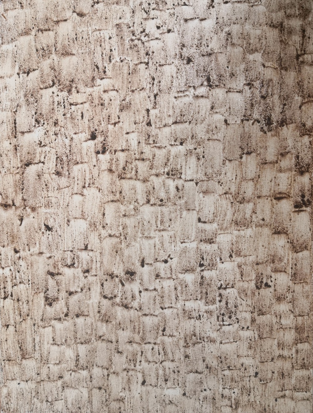 May 2021
Canvas, Pinecone
420 x 594mm