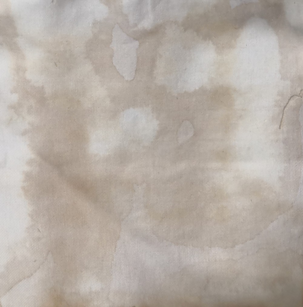 May 2021
Canvas Fabric, Pine bark, Pinecone, Pine leaf
200 x 200mm