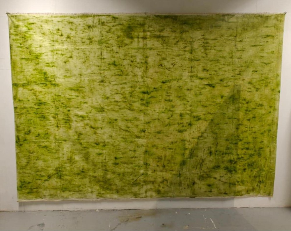 November 2024
Pandan, Linseed oil on Linen Canvas
2300mm x 5300mm
The inspiration for "Series 'Pandan'" is driven by my interpretation of multiculturalism in Singapore's ecology. diverse cultural influences intermingle and coexist, resulting in a distinctive Singaporean identity. Similar to the role of pandan, which is integral to numerous traditional dishes in Singapore. My artistic endeavor seeks to highlight the richness and inclusivity inherent in Singaporean culture.

"Series 'Pandan'" also emphasises the nature of pandan. The visual allure of pandan's intrinsic color is maintained through traditional color extraction methods, which are complemented by its distinctive olfactory characteristics. This dual sensory engagement enhances the vibrancy and dimensionality of the work, facilitating a more holistic understanding of the essence of pandan as a material.