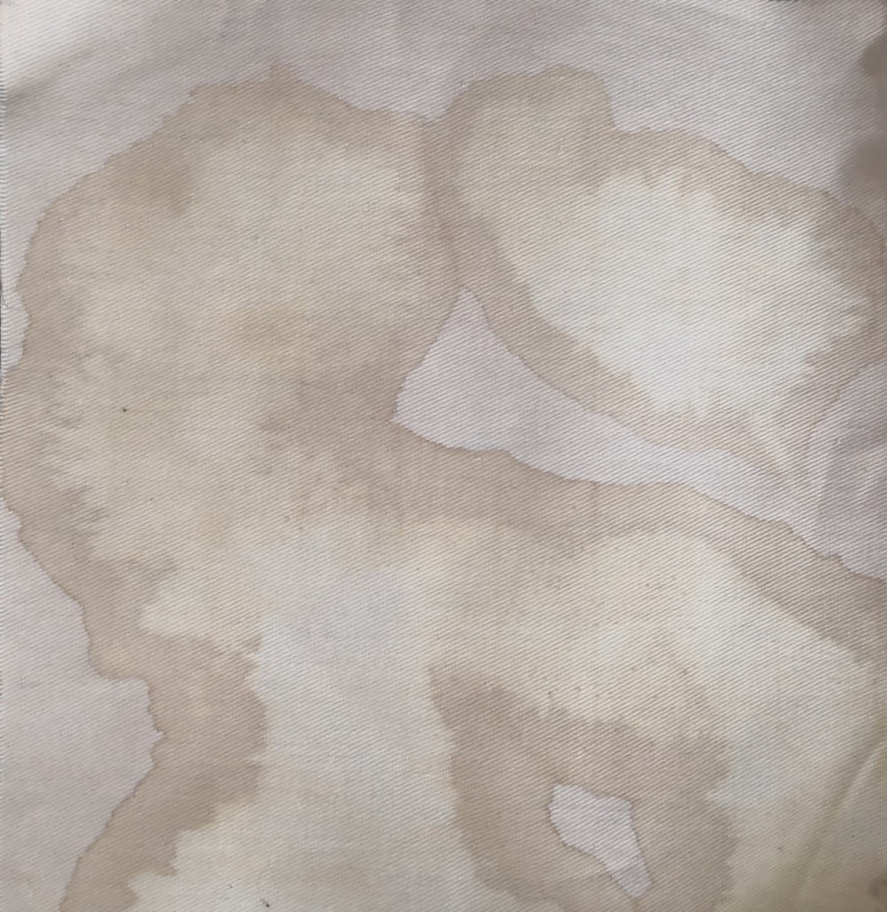 May 2021
Canvas Fabric, Pine bark, Pinecone, Pine leaf
200 x 200mm