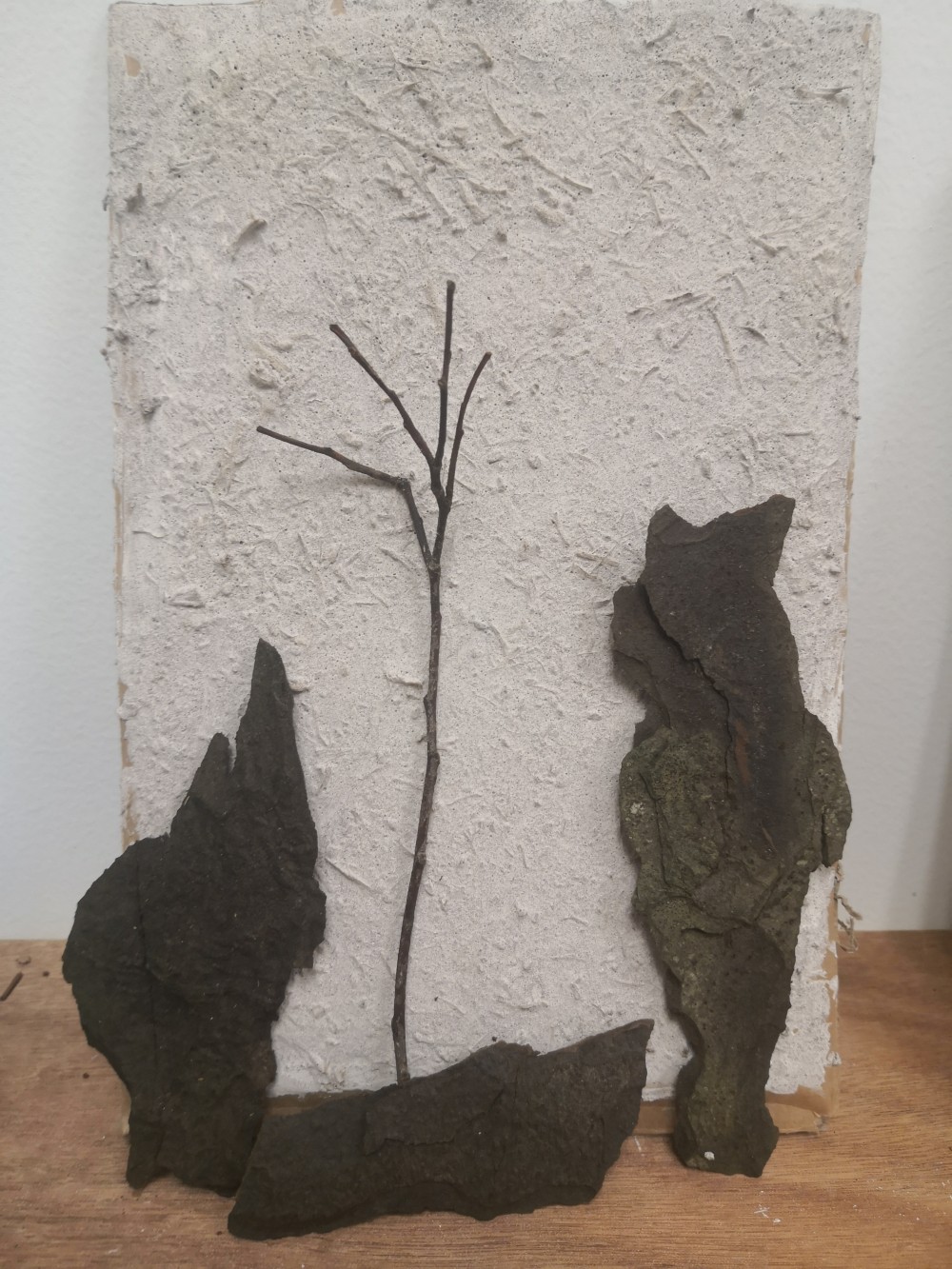 May 2021
Cardboard, Pine tree bark, Tree branch
120 x 300mm