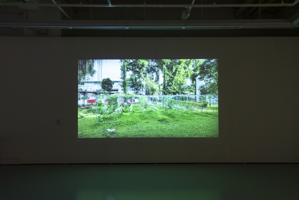 Video projection of CCTV recording
8hr, looped, aspect ratio 16:9
2025
It is not merely a compilation of chemical symbols, but rather a journey of life. The crops I
cultivate with my own hands gather the genes of colour amidst wind and rain; I distil the blood
of petals, expose the tears of roots and stems to the sun, and seal the tides of plant respiration
within the confines of crystals. The powders sleeping in these bottles and jars were once
rivers of sap rushing through leaf veins, the sweet whispers of buds at dawn, and the sparks of
fruit bursting upon impact with the ground. When the passage of time captivates the flow of
life, they transform into tranquil moments of colour. When the canvas awakens, they begin to
breathe anew through colour.