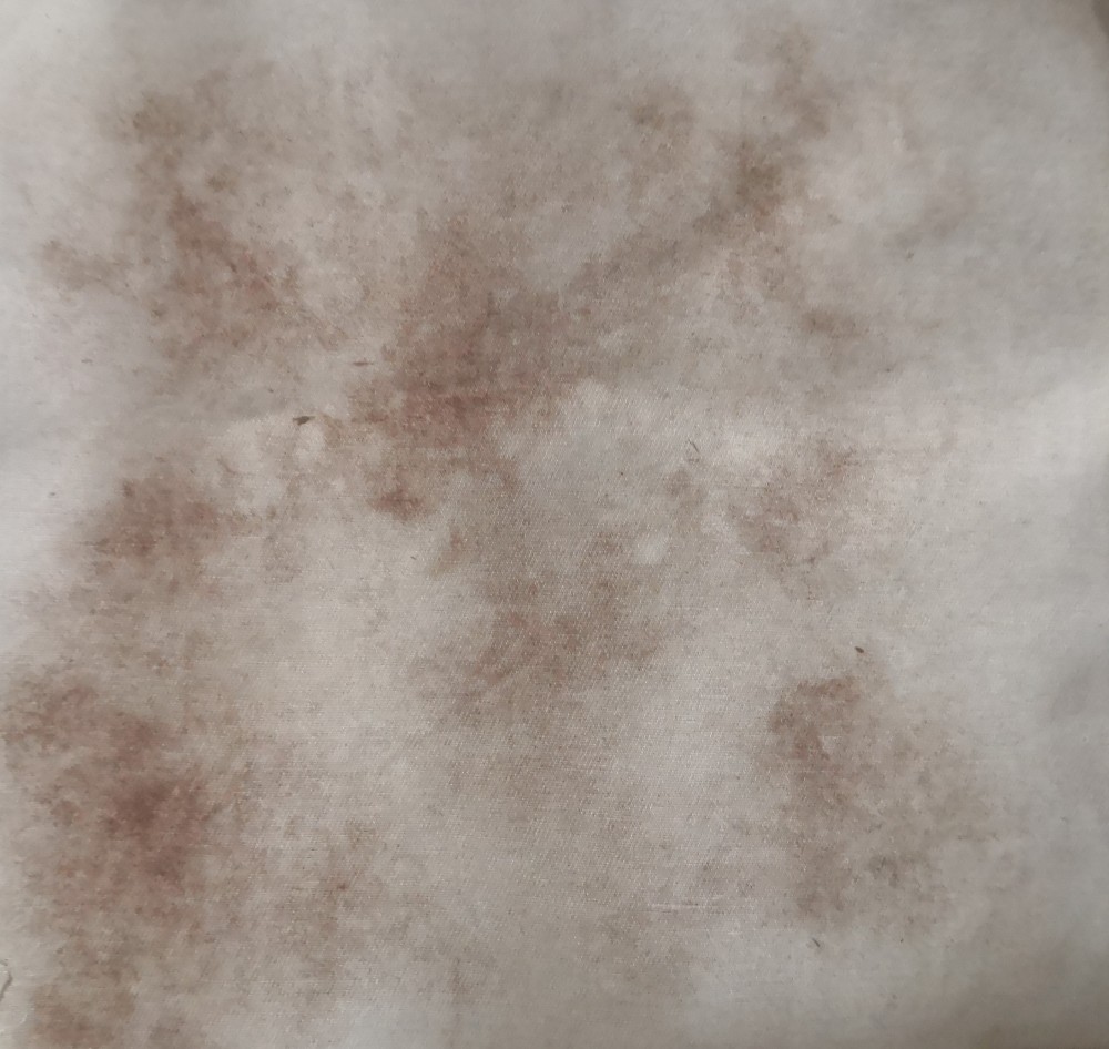 May 2021
Canvas Fabric, Pine bark, Pinecone, Pine leaf
200 x 200mm