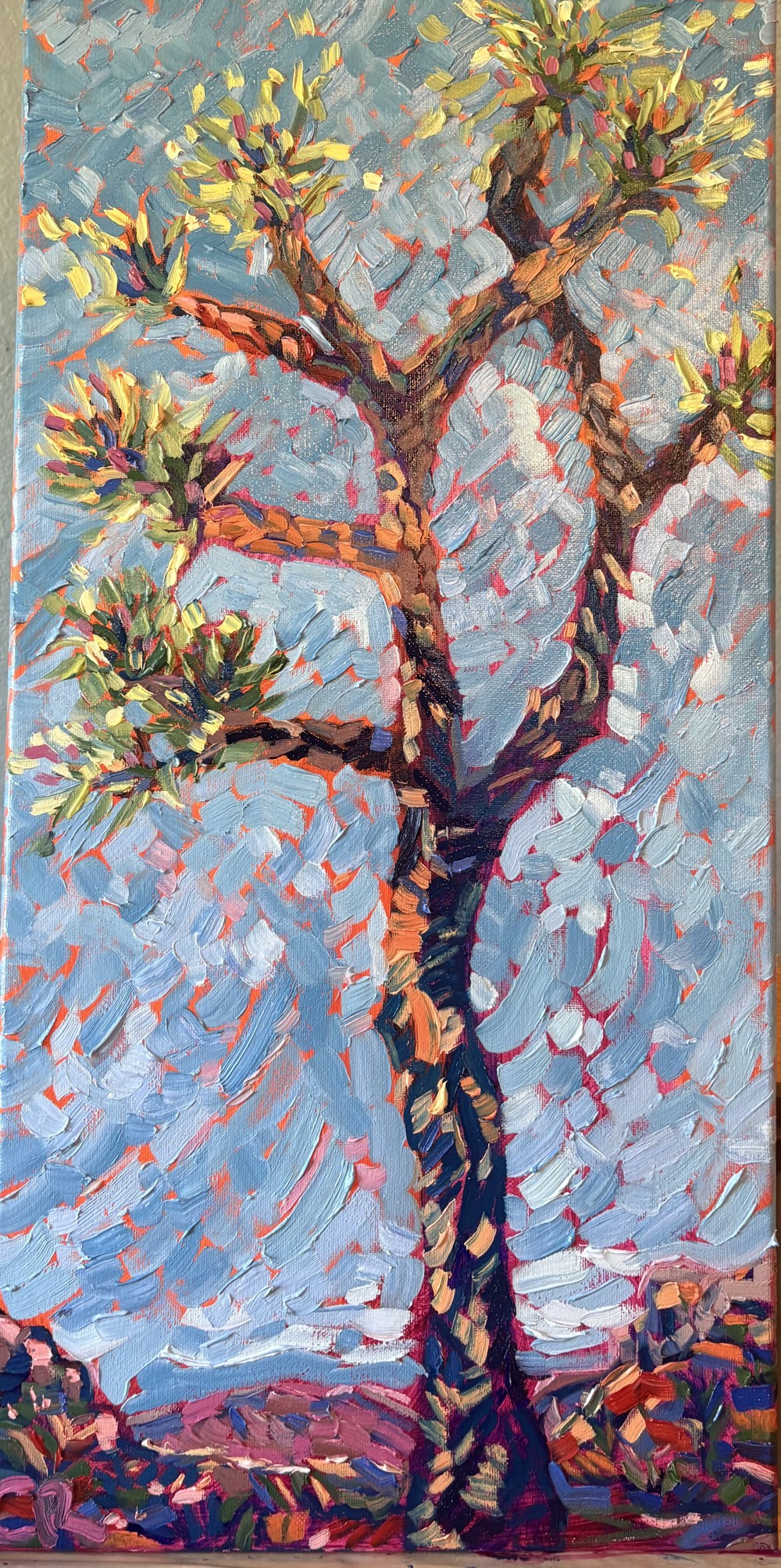 12x24 Oil on canvas of a youthful Joshua Tree. 2026 (Original available)
