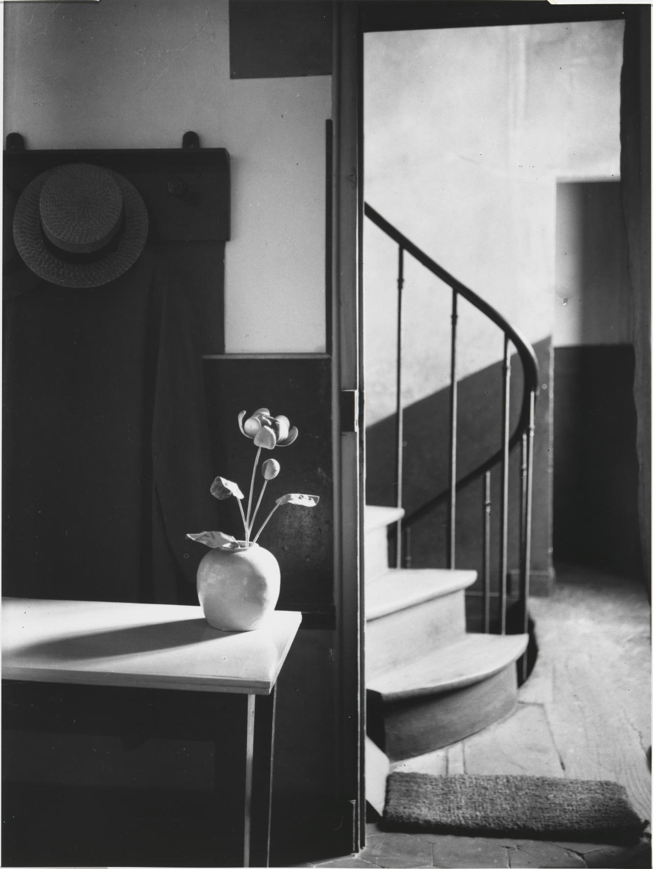 Curating art, design and objects for every need