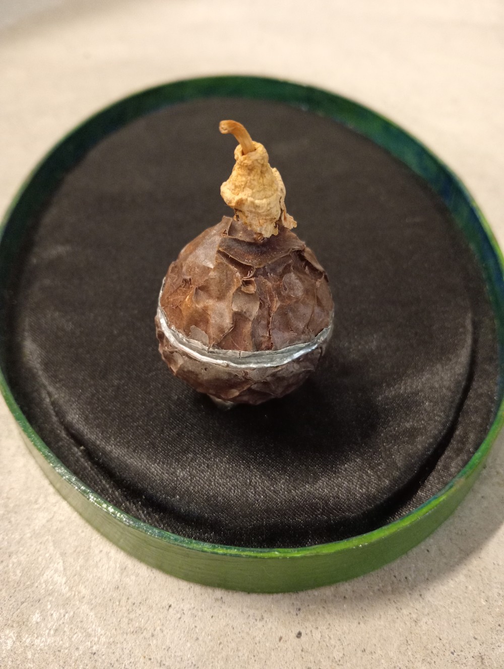 Passionfruit skin lined with aluminium tealight candle cases.