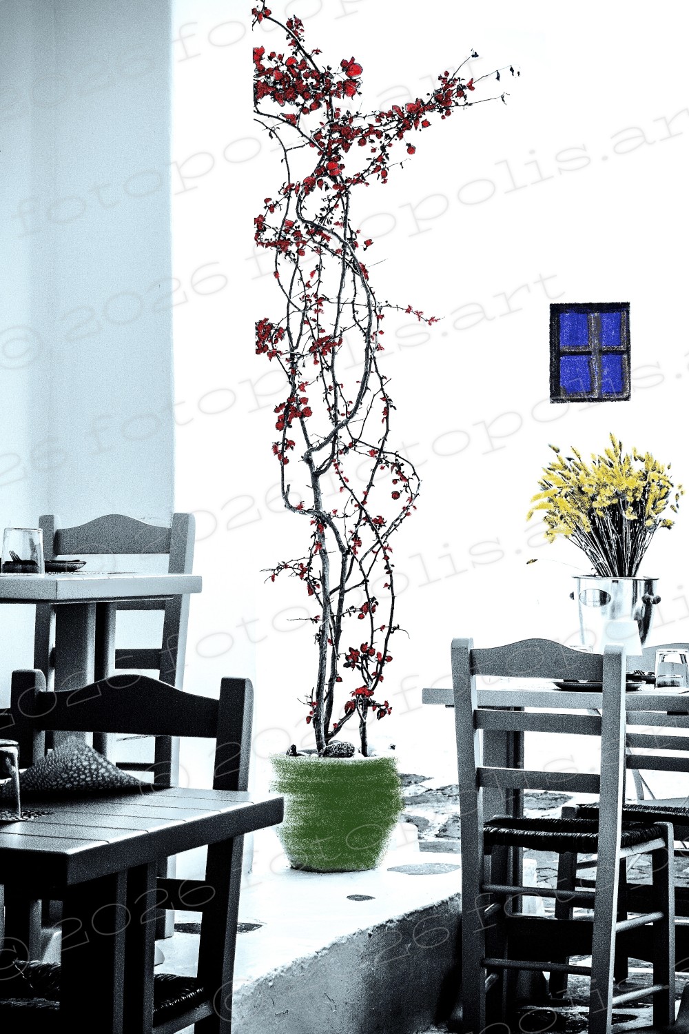 Ein Hauch von Rot, ein Flüstern von Leben, zarte Blüten, die sich dem Licht entgegenstrecken, leise, doch unaufhaltsam /

Μια νότα κόκκινου, ένα ψίθυρο ζωής,
τρυφερά άνθη που απλώνονται προς το φως,
σιωπηλά, μα ασταμάτητα