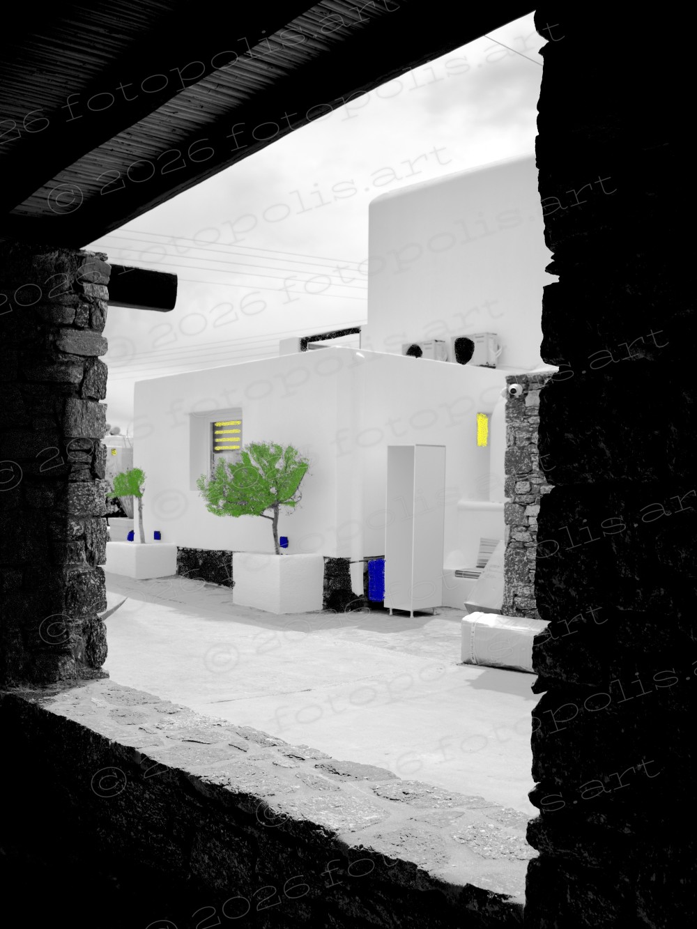 Im Grau der Welt flüstert Grün von Hoffnung und neuem Leben /

 Στο γκρι του κόσμου το πράσινο ψιθυρίζει ελπίδα και νέα ζωή