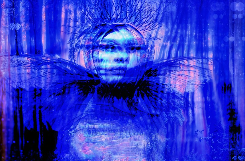 Child of the Forest