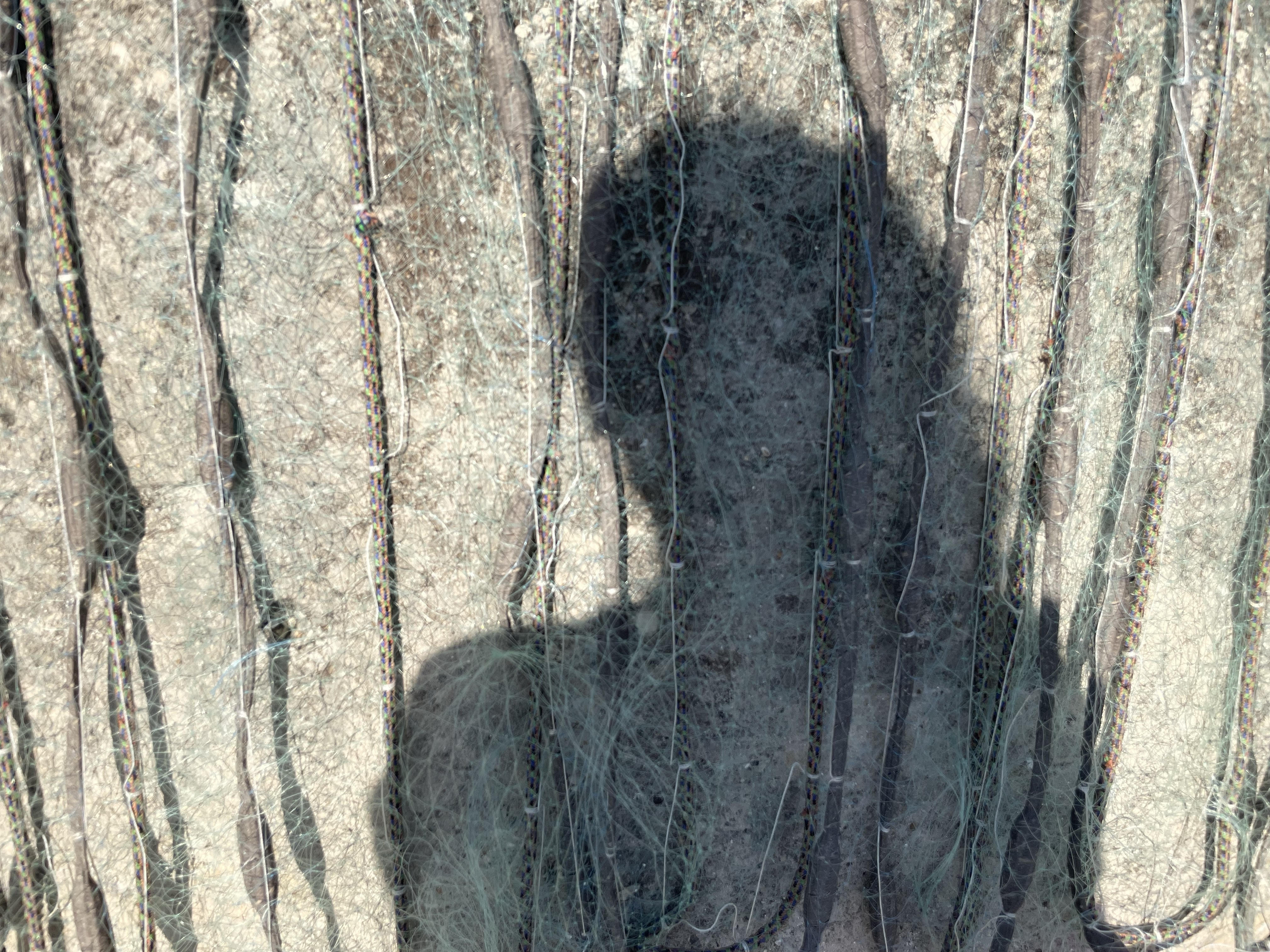 I navigate the digital art world in two ways,
either by working on digital prints of my physical paintings and digital photography through edits and animation,
or by exploring raw digital photography with no edits at all.