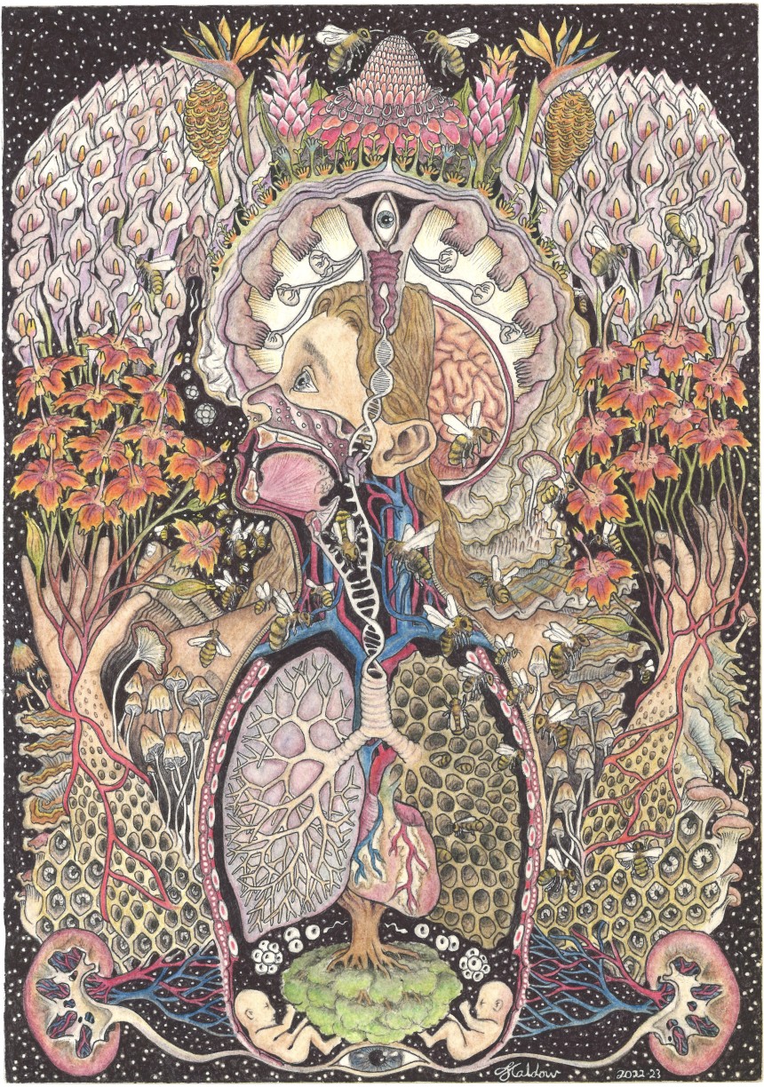 Symbiosis