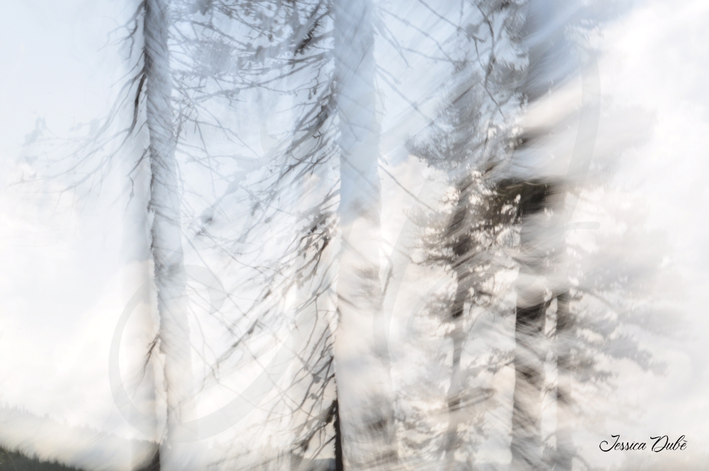 Pour moi, l’art c’est vivre! Et vivre passe par l’art! 
J’aime observer et analyser tout ce qui m’entoure (surtout la nature!) à travers la photographie. Changer ma perspective et ma façon de voir les choses par différentes prises de vue. Transformer un paysage par différents effets lumineux. Trouver la beauté dans les endroits les plus inusités et m’émerveiller devant pleins de petites découvertes qui passent souvent inaperçues.
Les couleurs et les textures sont véritablement la langue de mes émotions et de mon coeur.  Les coucher sur papier ou sur une toile m’aide à me comprendre moi-même, me sentir libre de toutes ses choses qui régissent le quotidien. Si vous pouvez vous y retrouver, ressentir et vous émerveiller avec moi, j’en serai plus que ravis!