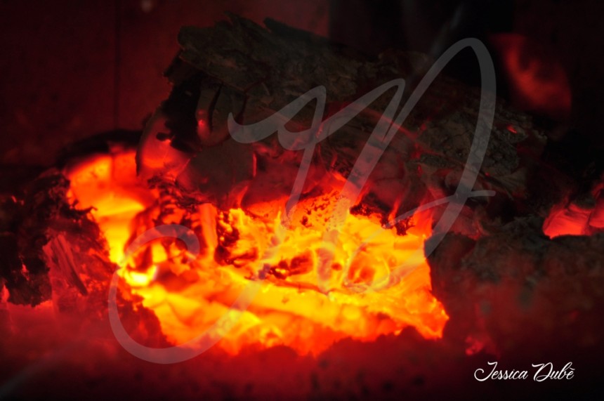 La vipère flamboyante