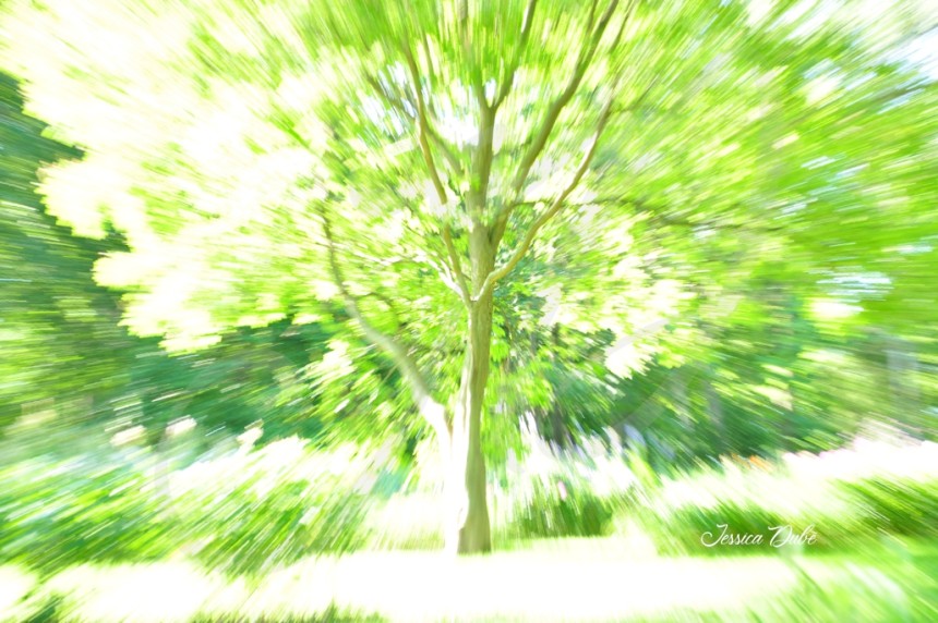 Migraine psychédélique