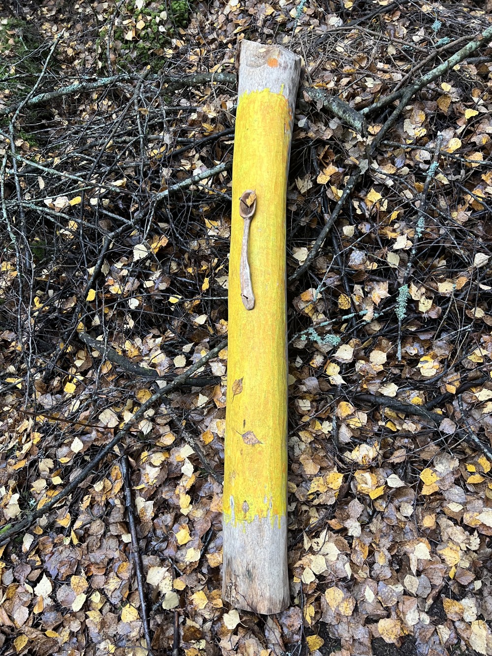 Sculpture in a natural environment