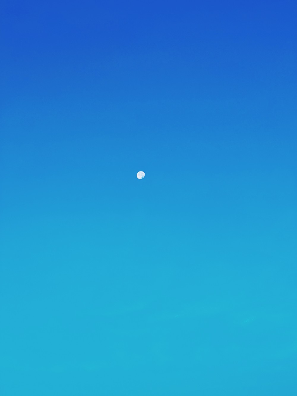 The story behind Solitude in the Sky is a profound exploration of isolation, resilience, and the expansive nature of human introspection. At its heart, the artwork depicts a lone subject a figure or object set against an endless canvas of azure, symbolizing the profound stillness and vast possibilities that solitude can offer. Through its minimalist yet deeply evocative composition, the piece captures the delicate balance between vulnerability and empowerment that often accompanies moments of solitude.
The uninterrupted blue of the sky serves as a metaphor for the infinite: the boundless potential of thought, self-discovery, and growth that unfolds when one embraces isolation not as emptiness, but as opportunity. The singular subject, dwarfed by the immensity of the sky, reminds us of our fragility in the face of the universe, yet also highlights the strength that arises from navigating such vastness with courage.

Created by Kwaku Kr3