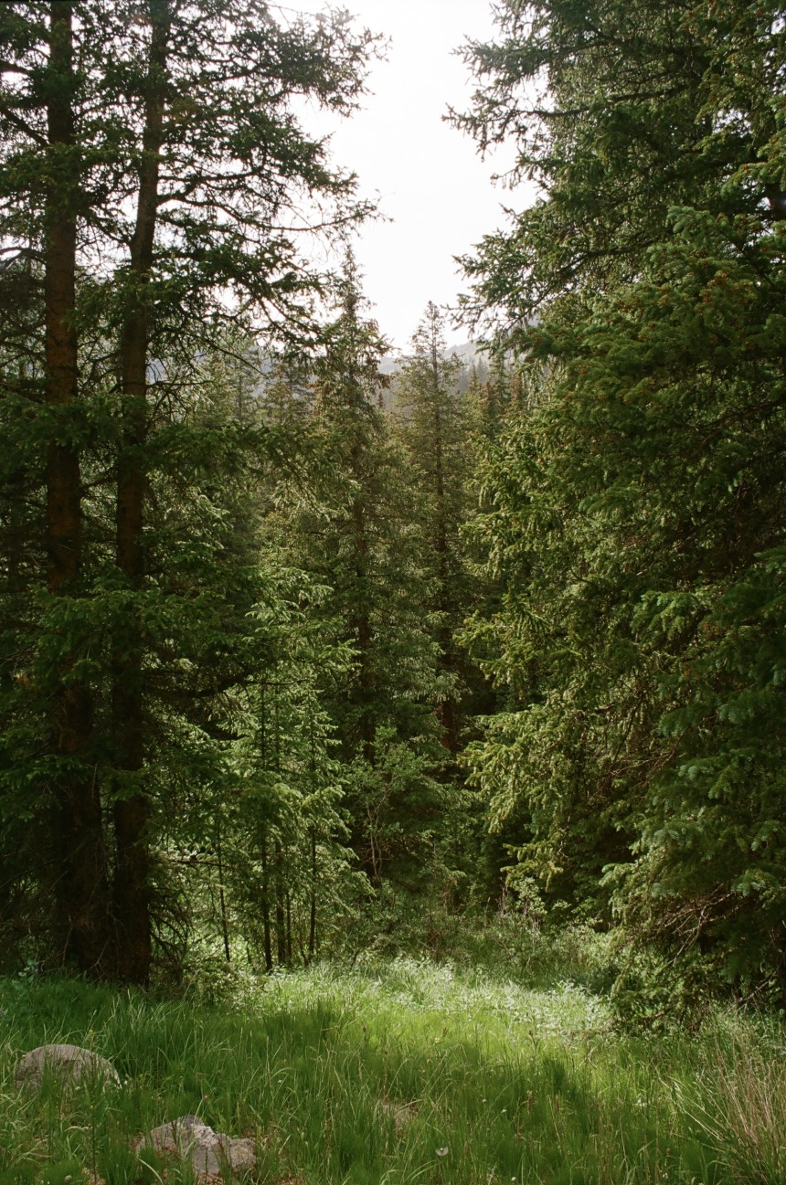 Quiet
