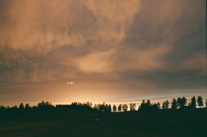 Gods Canvas II