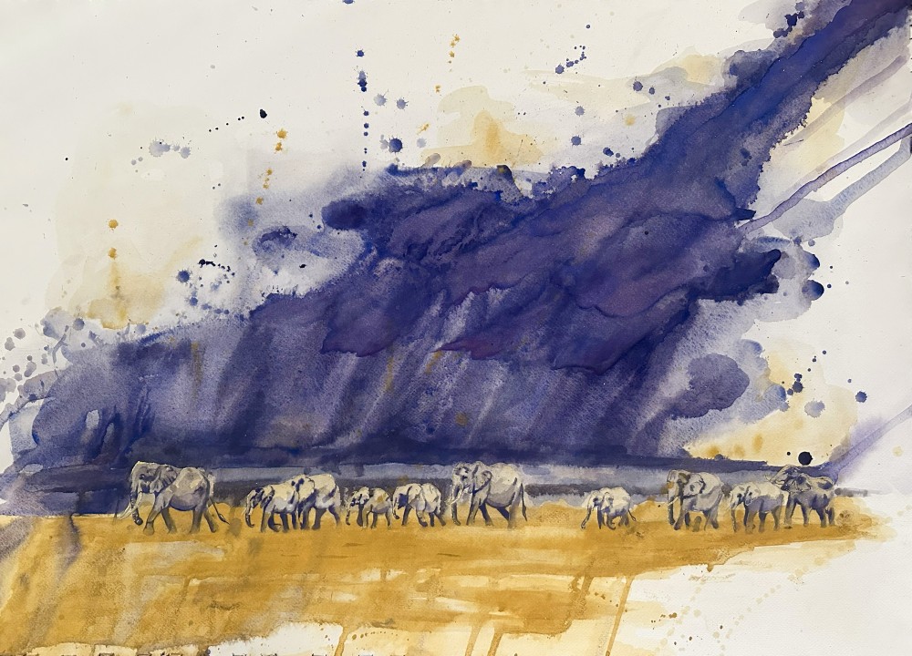 Elephant herd moving across the salt flats of Amboseli before a rain storm.

76 cm by 56 cm, Gouache on Fabriano Artistico paper. October, 2025.