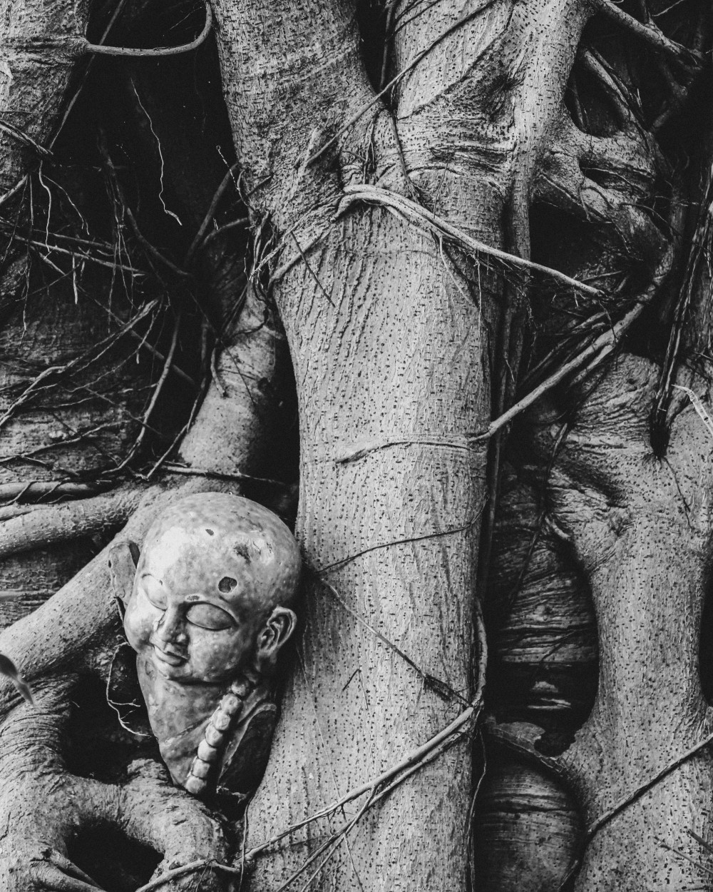 Hôi An, Vietnam | 2026