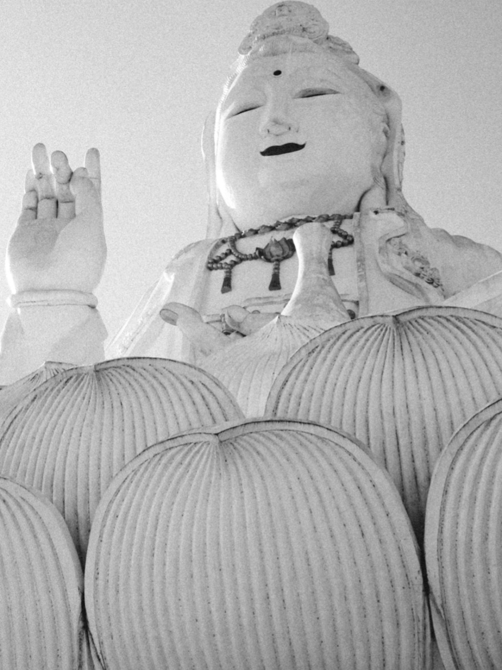 Chiang Rai, Thailand | 2025