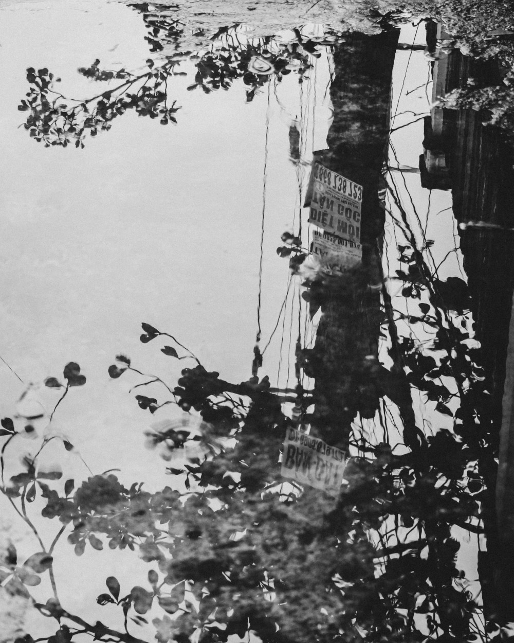 Hôi An, Vietnam | 2026