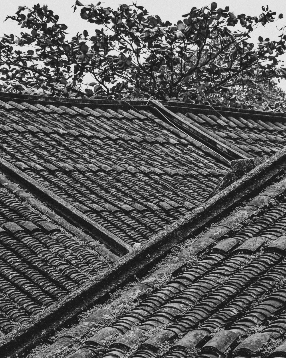 Hôi An, Vietnam | 2026