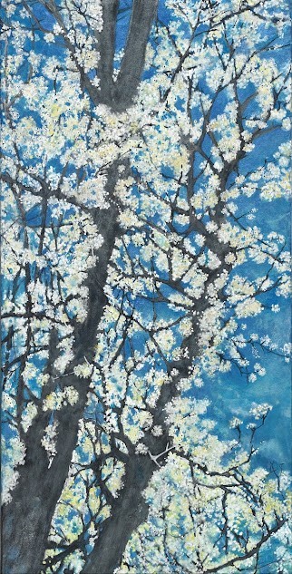 12"x24" Oriental pigment powder on jang -ji
This painting captures a tree in full bloom beneath a vivid spring sky. The white blossoms, shimmering against the deep blue background, embody both vitality and serenity. Their pure hue symbolizes healing and renewal, while the intricate branches reveal glimpses of the sky—offering a quiet sense of freedom and hope.

Through this work, I sought to express the moment when one begins to bloom again after enduring confusion and emotional struggle. Just as a tree bears flowers even after harsh seasons, I believe that spring returns to the human heart as well. I hope this piece brings a breath of comfort and quiet hope to those who encounter it.
이 작품은 봄날의 하늘을 배경으로 만개한 나무를 그린 그림입니다. 푸른 하늘 아래에서 피어난 흰 꽃들은 마치 빛과 공기를 머금은 듯 생기와 평온을 동시에 품고 있습니다. 꽃들의 순백은 상처와 고통 너머로 피어난 치유의 상징이며, 얽히고설킨 가지들 사이로 비치는 하늘은 자유와 희망의 여지를 보여줍니다.

저는 이 작품을 통해, 혼란스럽고 답답했던 시간을 지나 마침내 자신을 피워내는 순간을 표현하고자 했습니다. 상처를 품은 나무도 다시 꽃을 피우듯, 인간의 내면에도 봄은 다시 찾아온다고 믿습니다. 이 그림이 보는 이에게 작은 위로와 희망의 숨결이