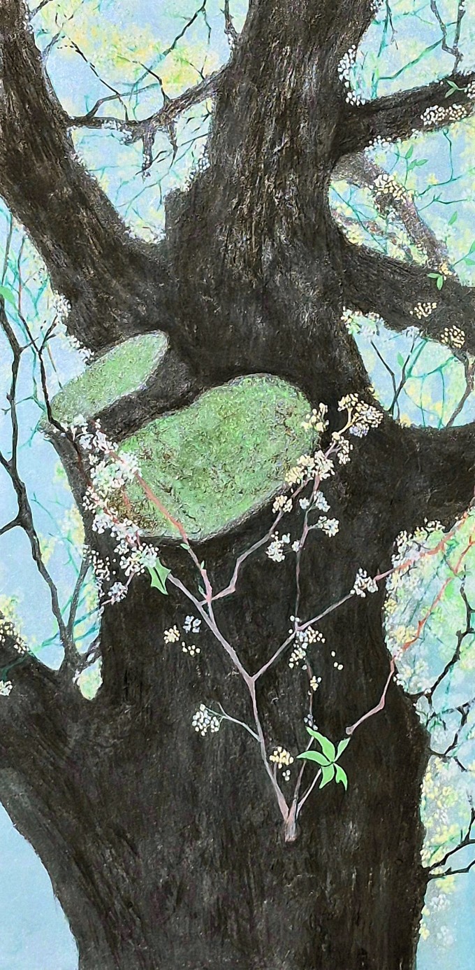 10"x 20" oriental pigment powder on jang-ji. 2025
Cherry blossoms bloom briefly, yet they return each year with quiet promise.
The tree they bloom from stands firm—scarred, but unshaken.
This piece captures the beauty of resilience: how hope flowers even from a place weathered by time.
Cherry blossoms bloom briefly, yet they return each year with quiet promise.
The tree they bloom from stands firm—scarred, but unshaken.
This piece captures the beauty of resilience: how hope flowers even from a place weathered by time
.벚꽃은 짧게 피고 지지만, 그 찰나의 아름다움은 매년 우리에게 봄의 희망을 일깨웁니다.
그 꽃이 피어난 나무는 오랜 시간 제 자리를 지켜온 단단한 존재입니다.
이 작품은 흔들림 없는 뿌리 위에 피어난 생명의 순간을 통해, 고요한 인내와 다시 피어나는 희망을 담아냅니다.