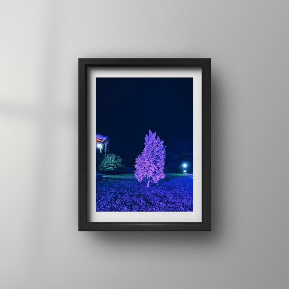 I had a dream that a bush was set on fire and took me to space or did that really happen ?