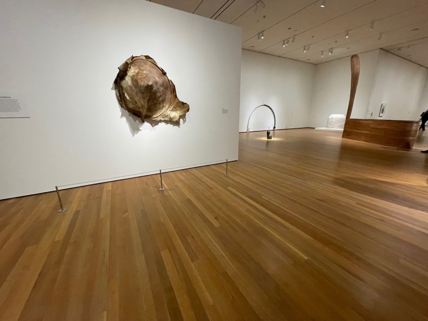 Martin Puryear - Nexus