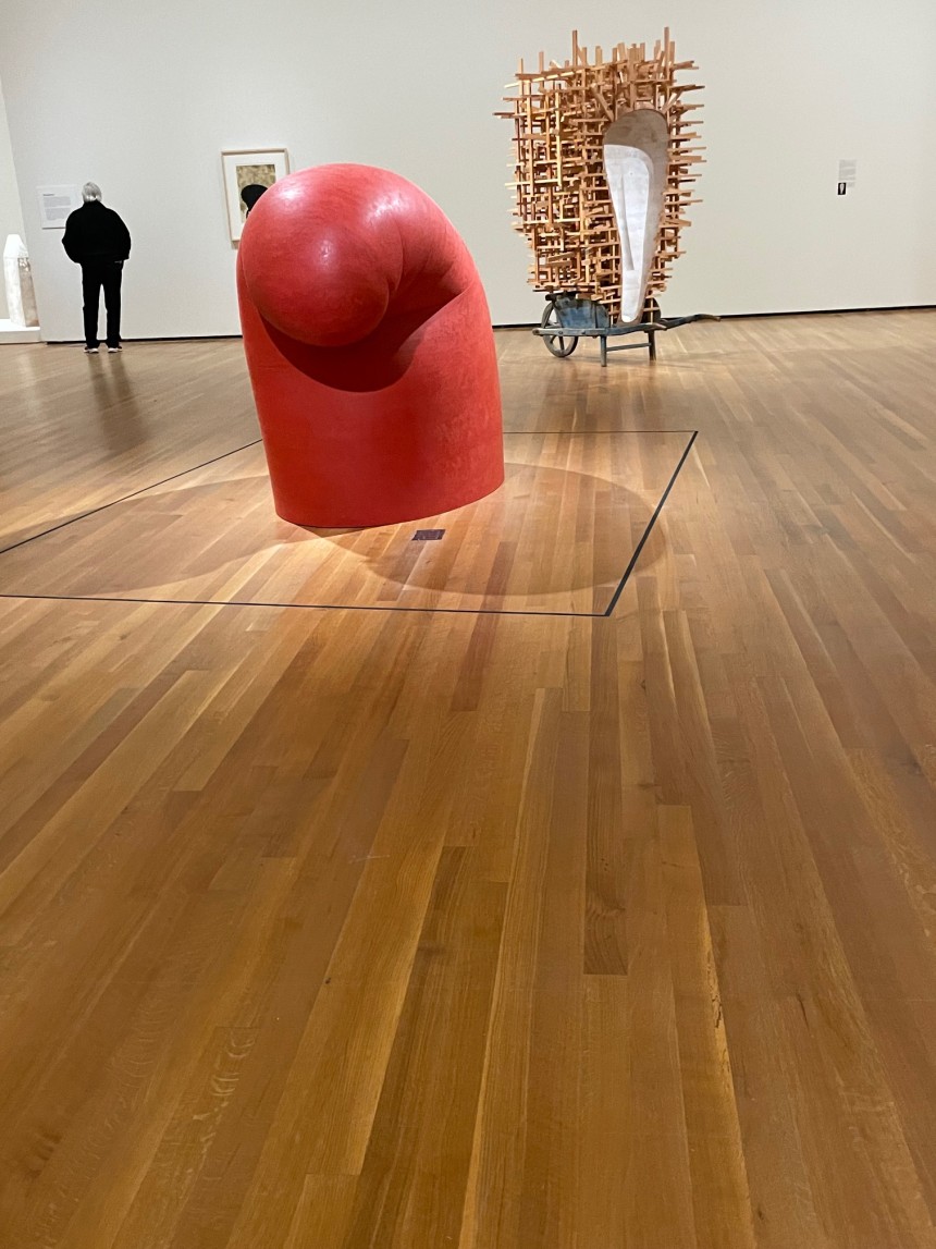 Martin Puryear - Nexus