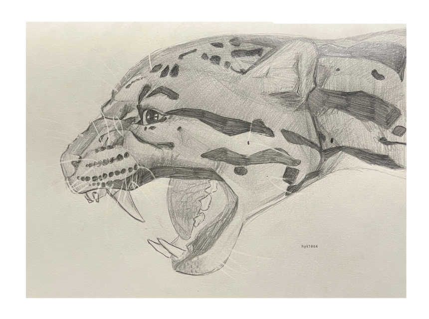 clouded leopard