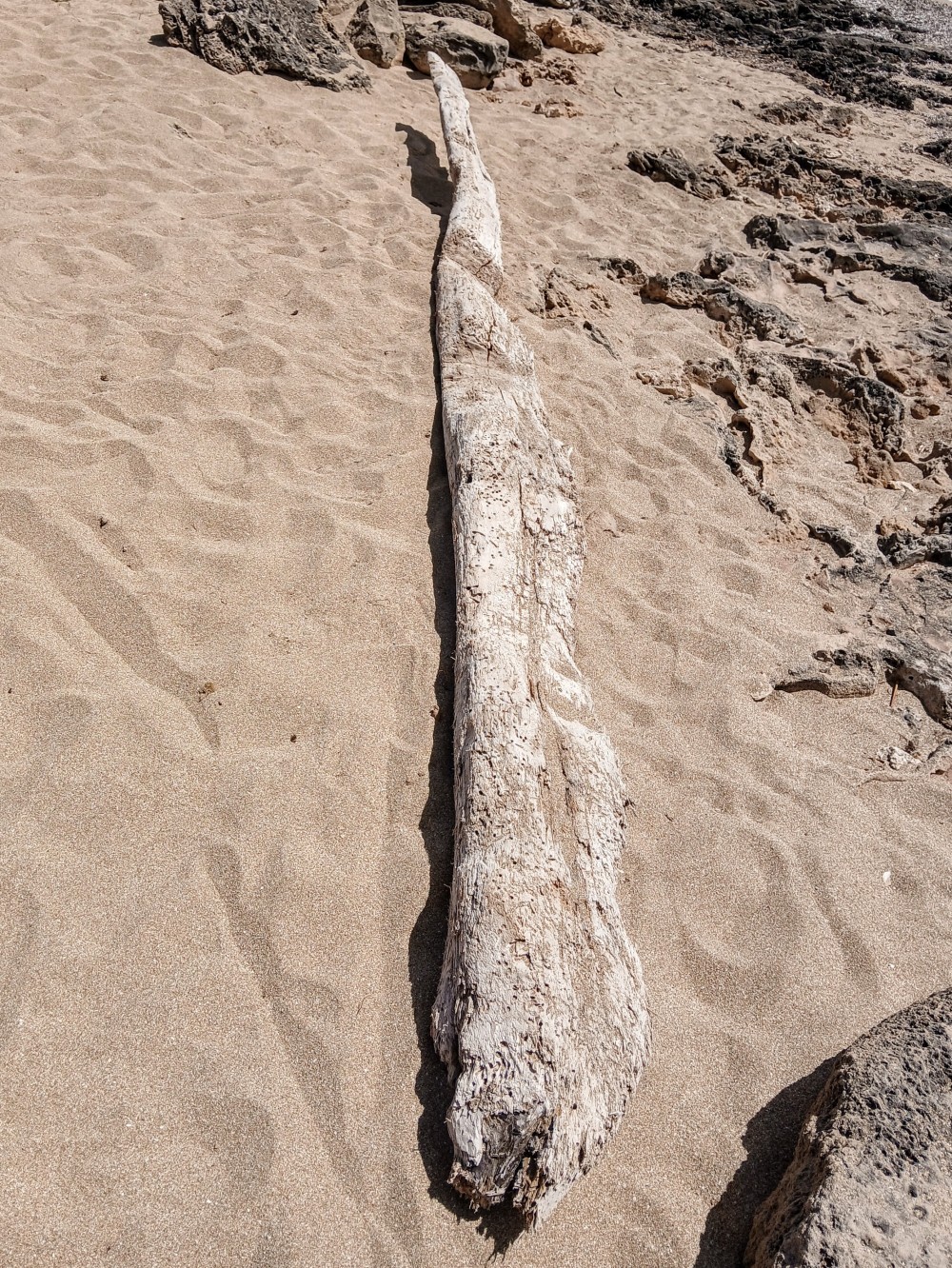Installation récente, créée sur les rives de la mer Ionienne, dans les Pouilles. Fait partie d'une série d'œuvres qui représentent l'idée d'une nature créative et dynamique qui façonne et transforme les objets.
Le titre choisi évoque l'idée d'un objet emporté par les vagues et abandonné sur le rivage, porteur de l'histoire et de la mémoire de la mer.