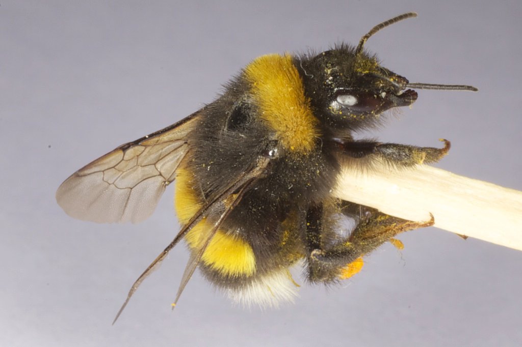 In Bälde siehst du mehr