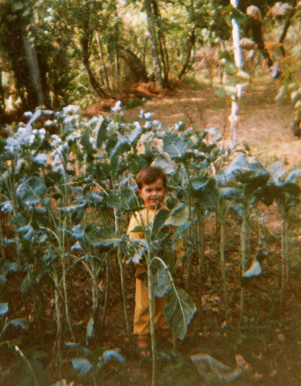 Born in 1986 in Punto Fijo, Venezuela, his life—and his art—found its home in Portugal. From an early age, he discovered in drawing an intimate territory, a place where imagination breathes and curiosity flourishes. For him, drawing is not a mystical gift, but a cultivated fascination: a practice that refines itself over time, between passion, discipline, and discovery.

An architect trained at the School of Architecture of the University of Minho (PT), where he completed his Master's degree in 2013, he has always seen in art and construction two sides of the same restlessness: to understand, transform, and communicate what surrounds him. For him, drawing is both meditation and a tool—a way of thinking with his hands, of organizing the world through lines, shadows, and intentions.

In 2017, he shaped another part of this creative impulse by founding, with two friends, LIMIT atudio. There, he continues building — houses, ideas, spaces, and possibilities.