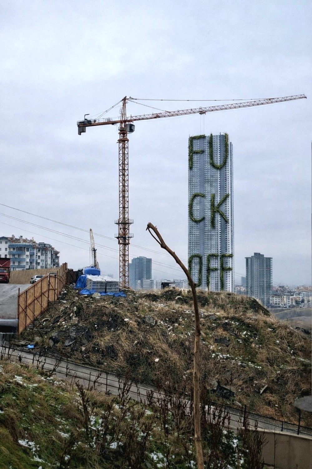 2021, Digital application