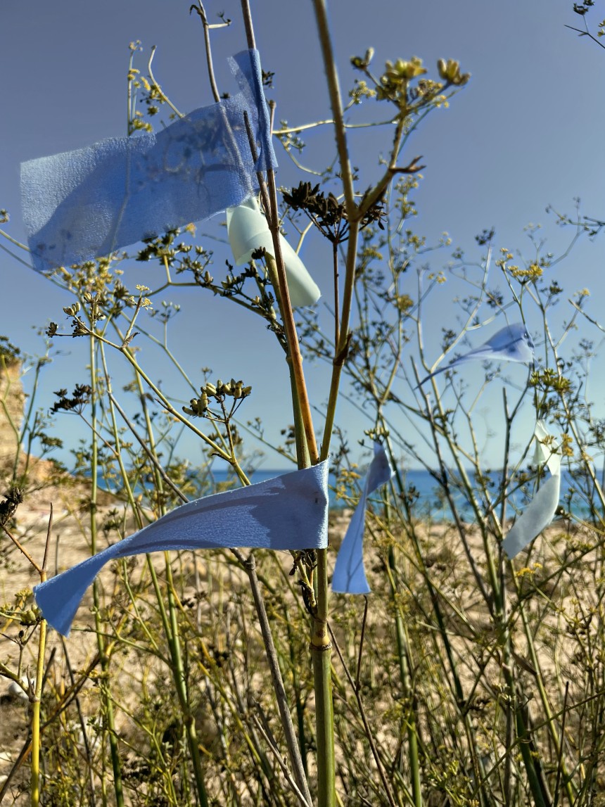 Scentscape, ocean vs plants