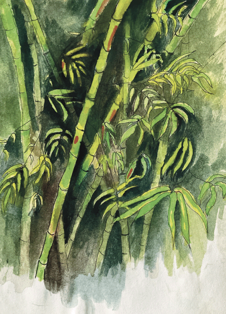 Watercolor and ink, painted from nature