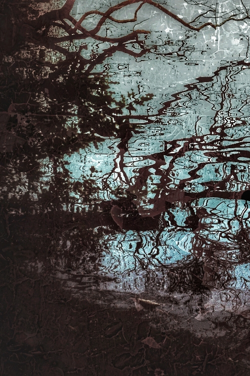 Hi, I'm Steve Hepworth and I am an analogue and digital artist living in the the wilds of the Peak District.